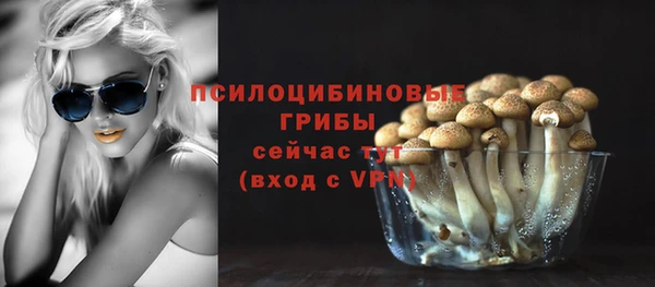 кокс Аркадак