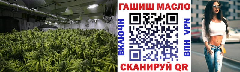 ТГК Wax  Талдом 