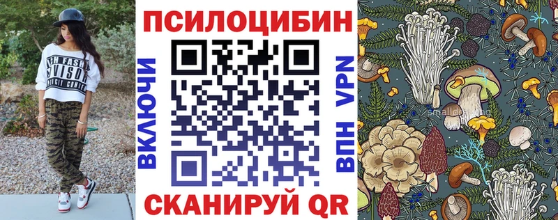 Псилоцибиновые грибы Cubensis Талдом